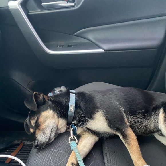 Meet your Posher, Catherine - Picture 1 of 1